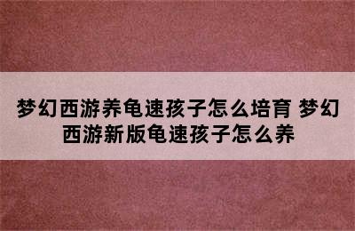 梦幻西游养龟速孩子怎么培育 梦幻西游新版龟速孩子怎么养